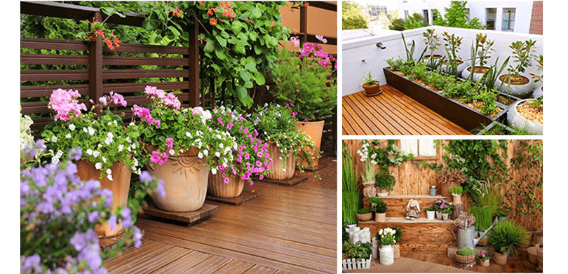 Vườn Rau Sân Thượng